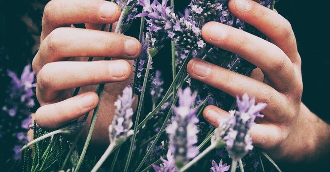 Core Insight is Moving to the Jane App and Changes to the Cancellation Policy image