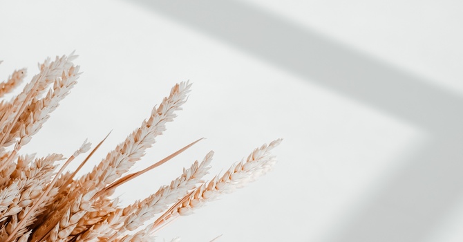 Drs. Mattinen and Drover become certified in Sacro Occipital Technique (SOT) image